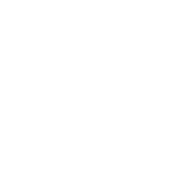 Pet Emergencies