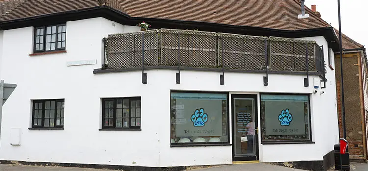 Vets in Southminster with a difference